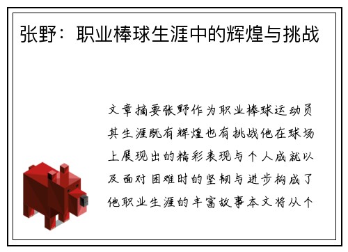 张野：职业棒球生涯中的辉煌与挑战