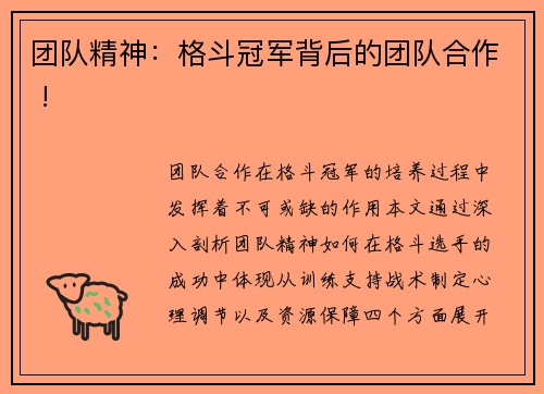 团队精神：格斗冠军背后的团队合作 !